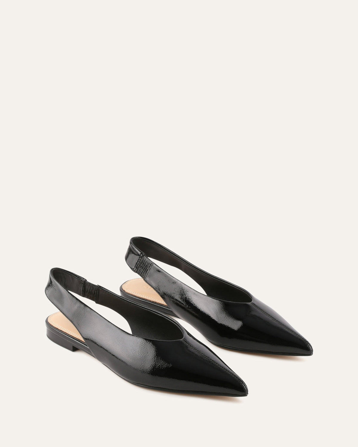 Pair of black pointed-toe shoes on a white background