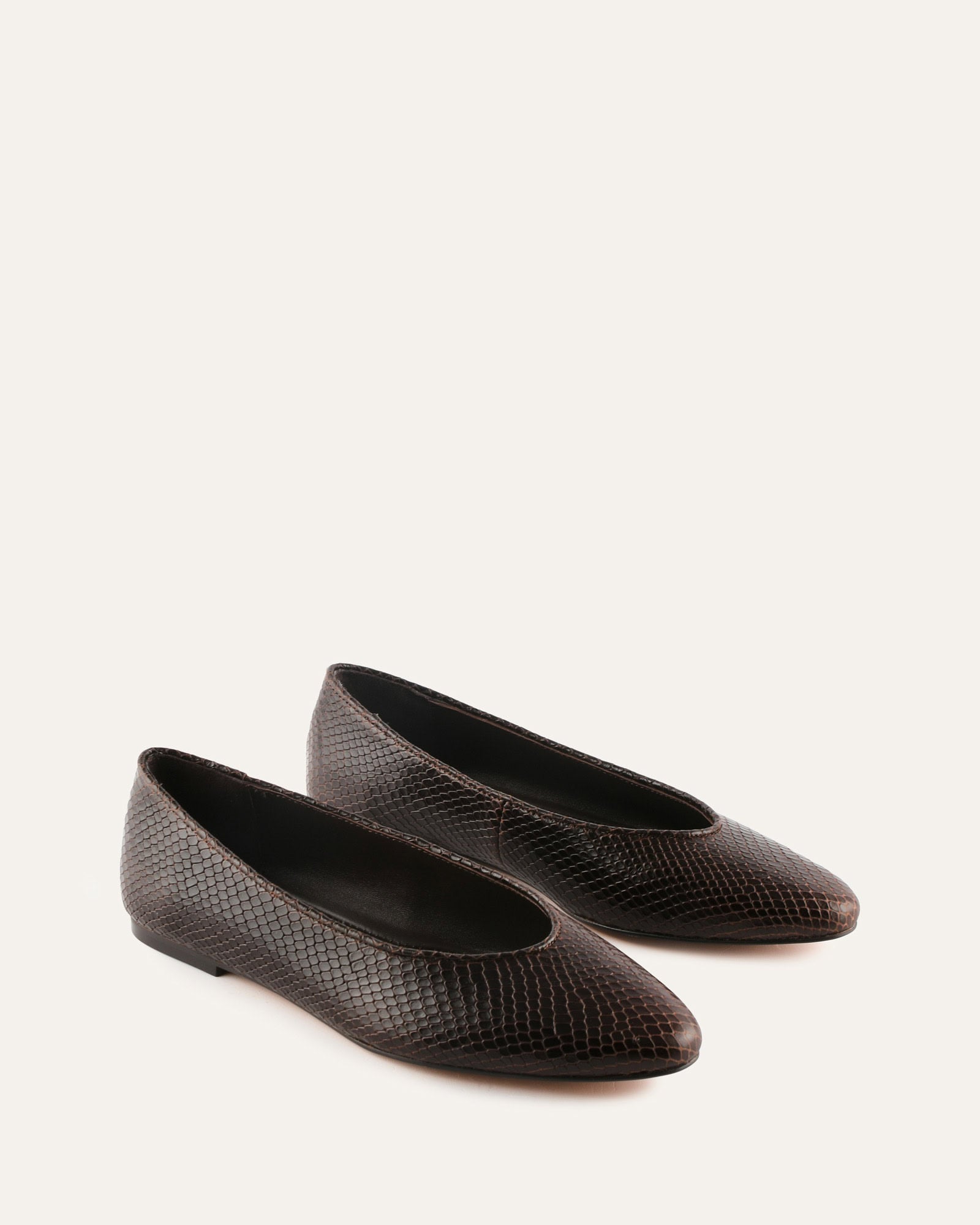 Black flat shoe on a light beige background