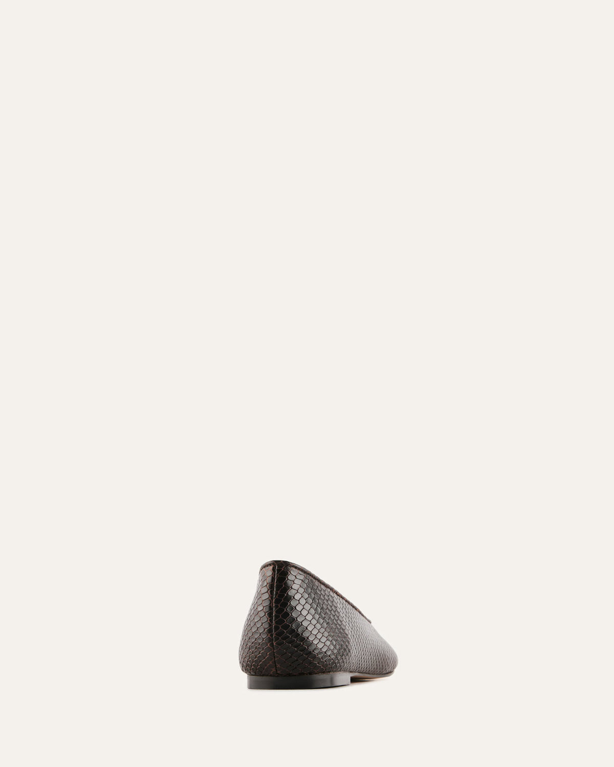 Black shoe on a white background