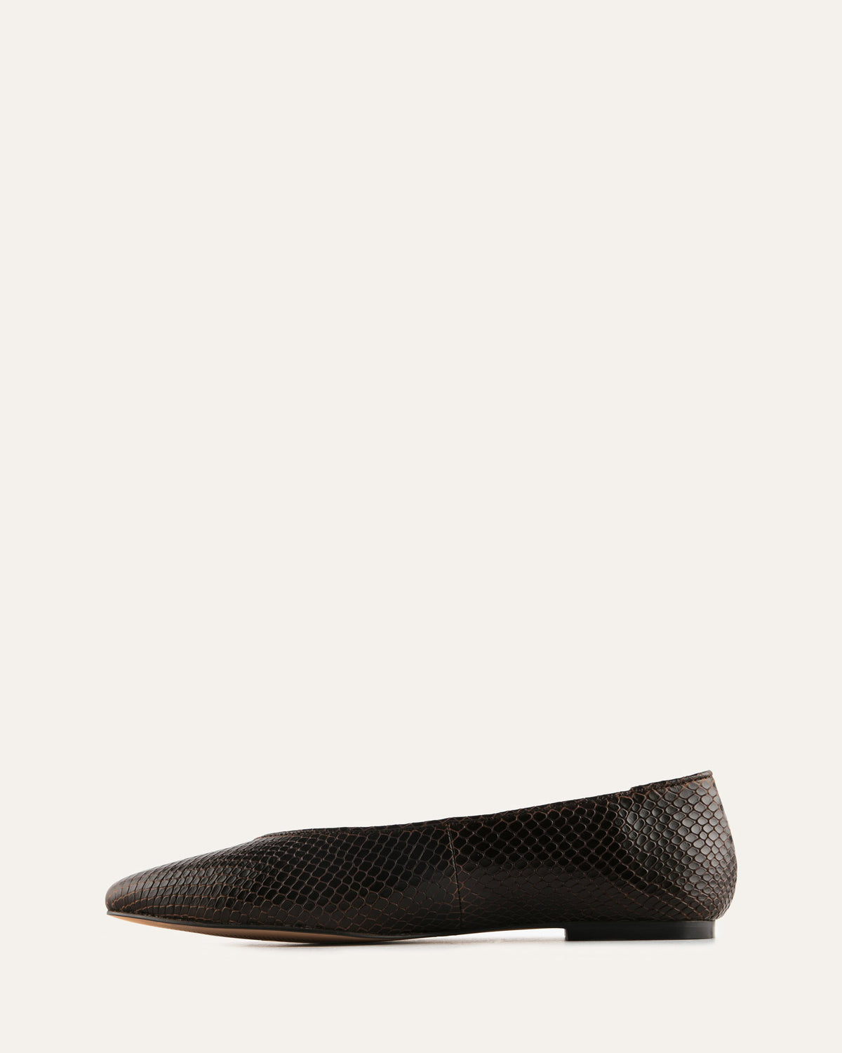Black flat shoe on a white background