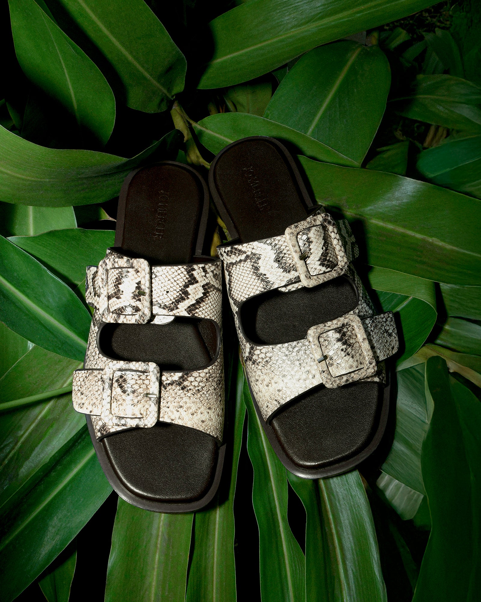 SEBASTIAN FLAT SLIDE NATURAL SNAKE PRINT LEATHER image